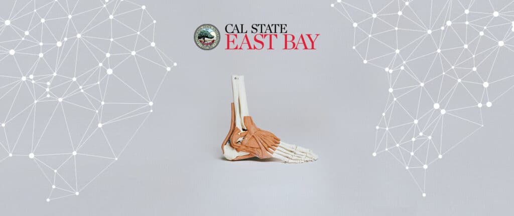 Cal state east bay university kinesiology with Dartfish technologies